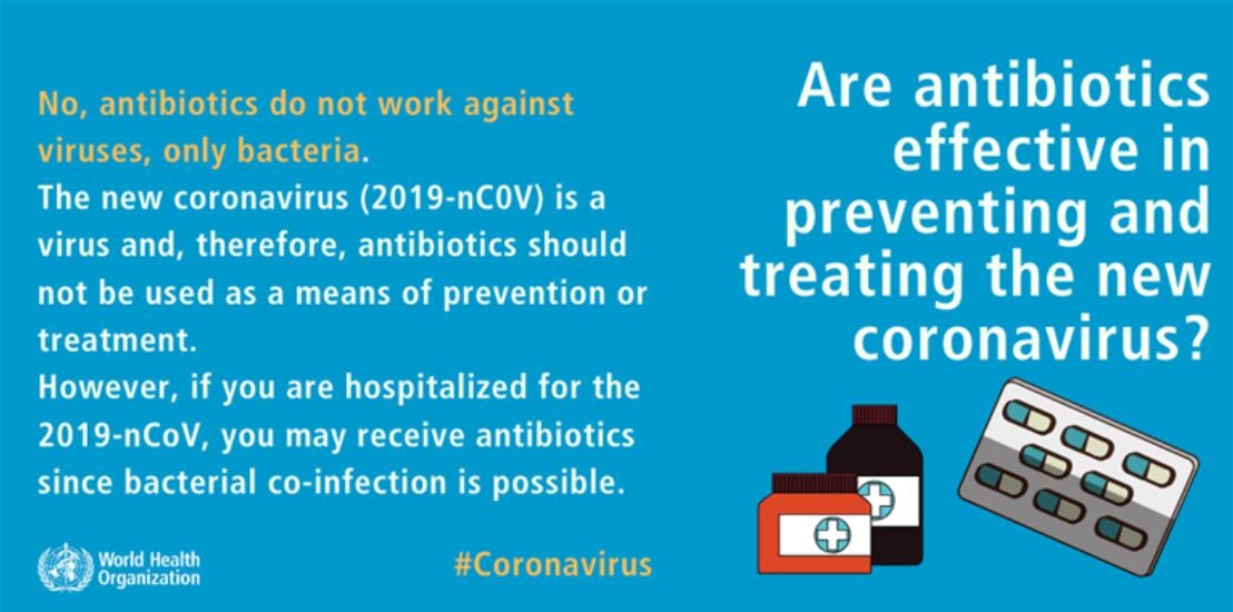 Can coronavirus be transmitted via mosquito bites? WHO explains