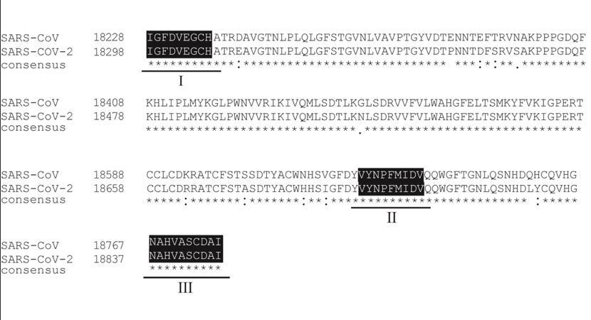 Coronavirus may evolve rapidly, study finds