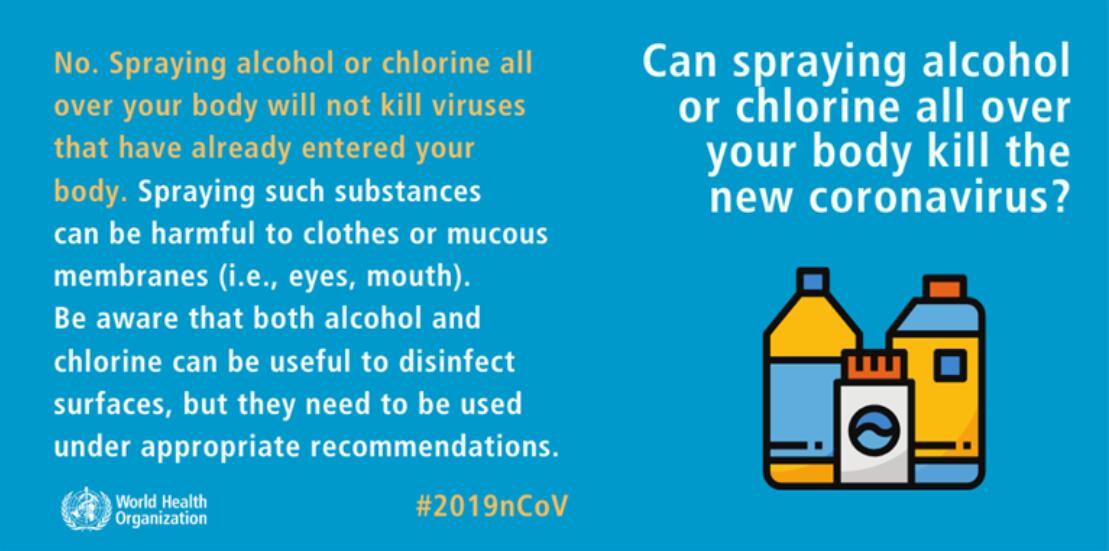 Can coronavirus be transmitted via mosquito bites? WHO explains