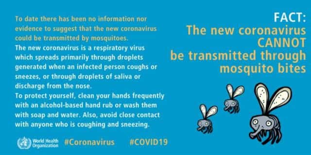 Can coronaviruses spread through mosquitoes?