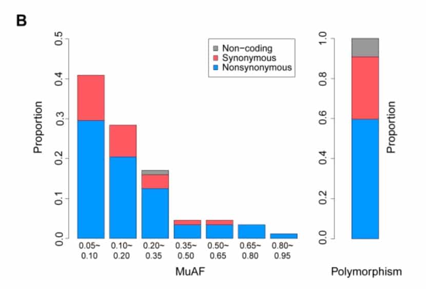 Coronavirus may evolve rapidly, study finds