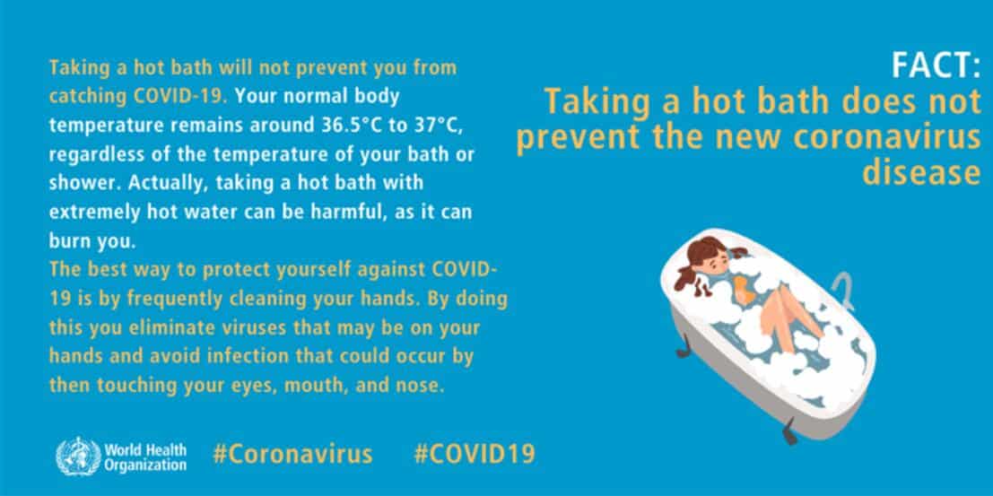 Can coronavirus be transmitted via mosquito bites? WHO explains