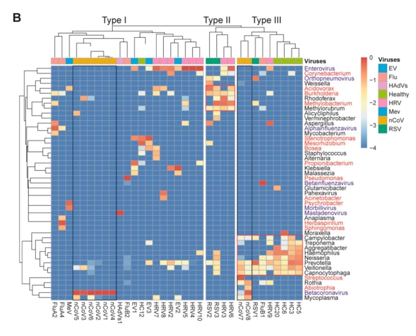 Coronavirus may evolve rapidly, study finds