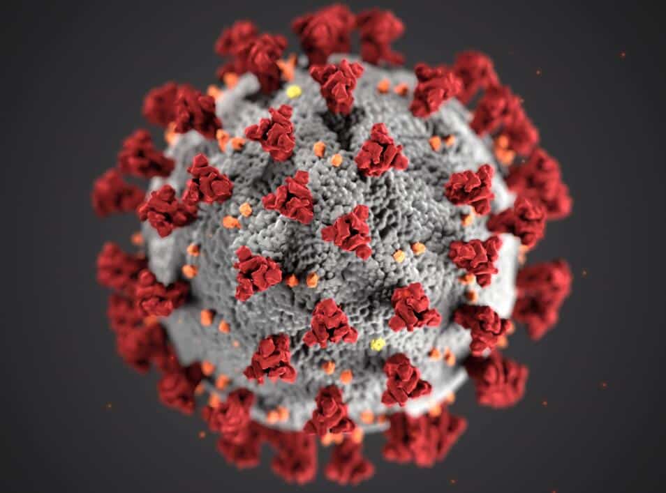 Behind the suspected 'mutation' of Covid-19: what you have missed