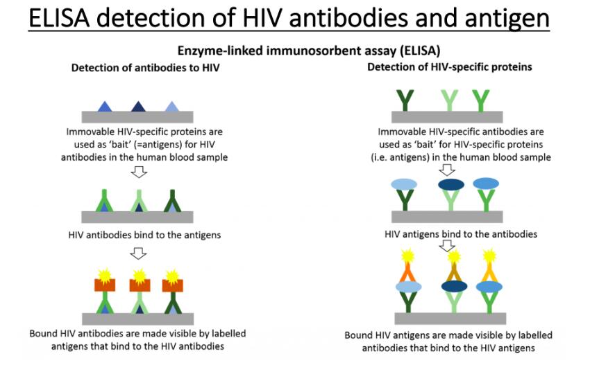 Ultimate explanation: What is a coronavirus? How should humans fight it?