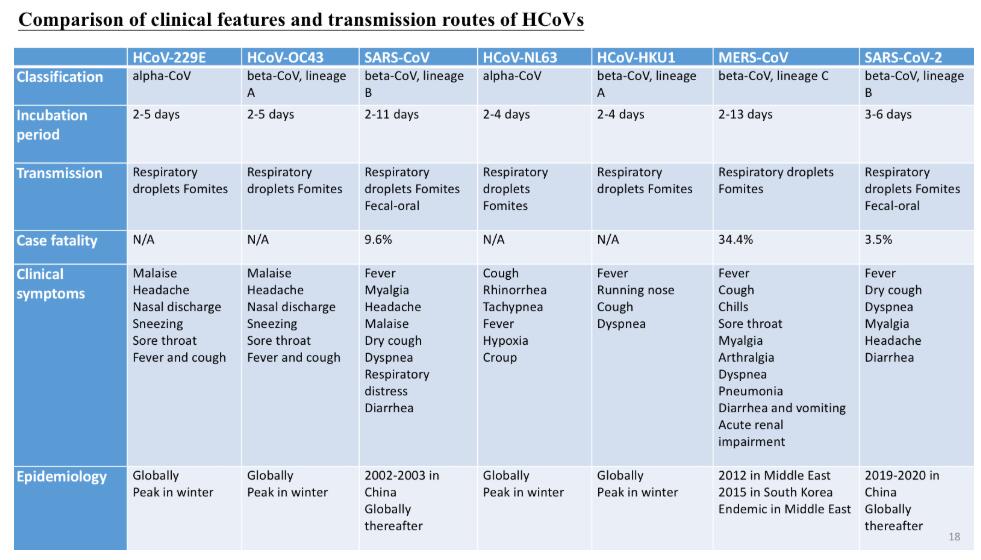 Ultimate explanation: What is a coronavirus? How should humans fight it?