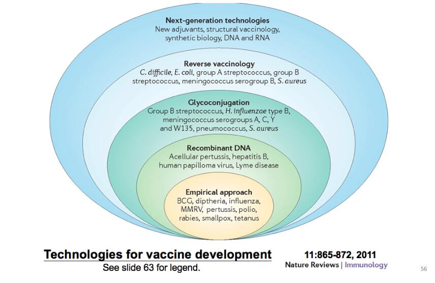 Ultimate explanation: What is a coronavirus? How should humans fight it?