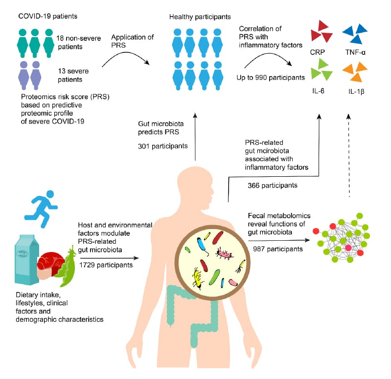 Gut flora may predict susceptibility to Covid-19