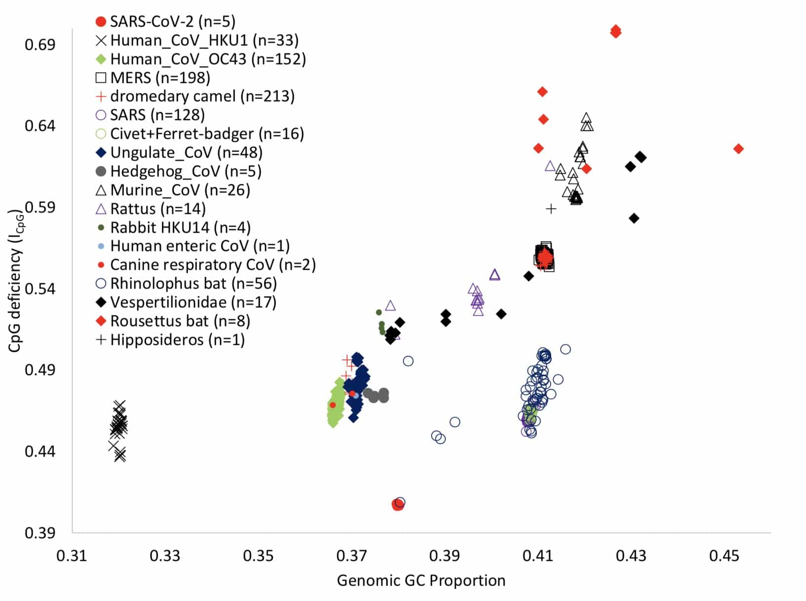 Dog may be intermediate host for new coronavirus, study says