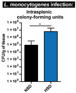 Salty food will reduce immunity, study says
