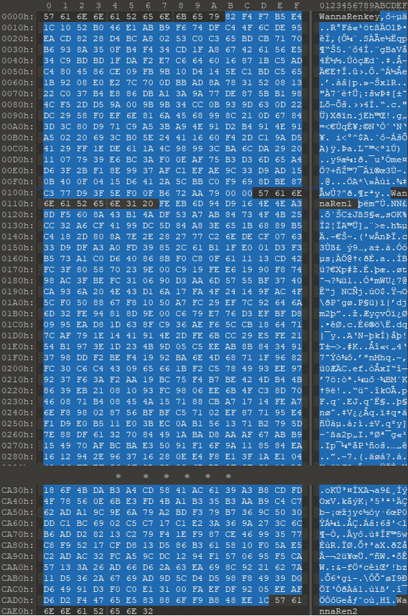 Ransomware 'WannaRen' may have been spreading widely through download sites