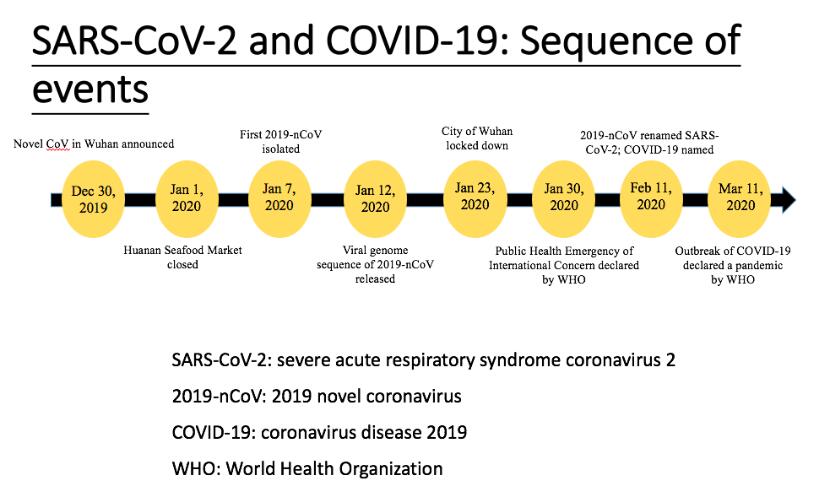 Ultimate explanation: What is a coronavirus? How should humans fight it?
