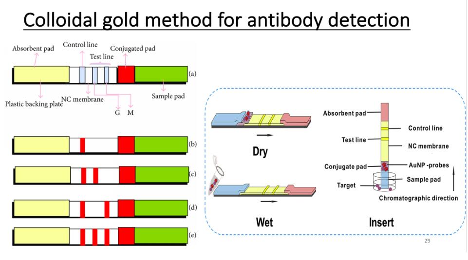 Ultimate explanation: What is a coronavirus? How should humans fight it?