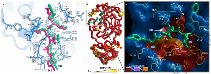 Chinese scientists find 3D structure of new coronavirus's main protease