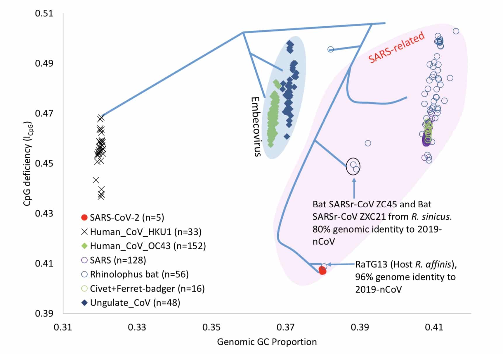 Dog may be intermediate host for new coronavirus, study says