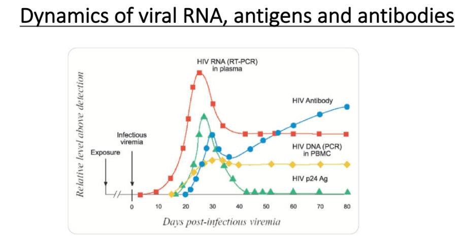 Ultimate explanation: What is a coronavirus? How should humans fight it?