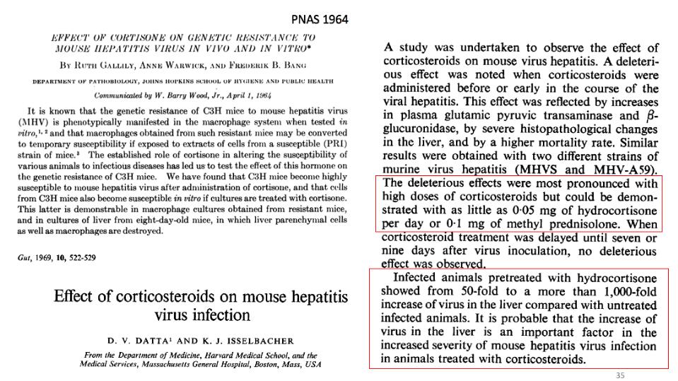 Ultimate explanation: What is a coronavirus? How should humans fight it?
