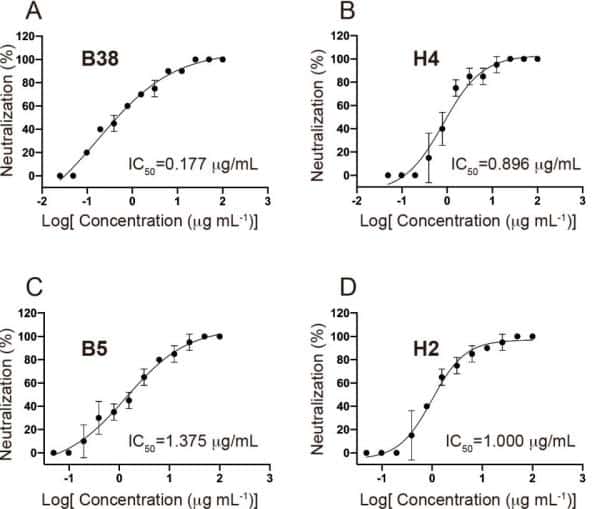 Chinese scholars identify 2 antibodies that block coronavirus invasion