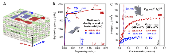Chinese team's fractional neutron source user experiment results published in Science for first time