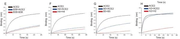 Chinese scholars identify 2 antibodies that block coronavirus invasion
