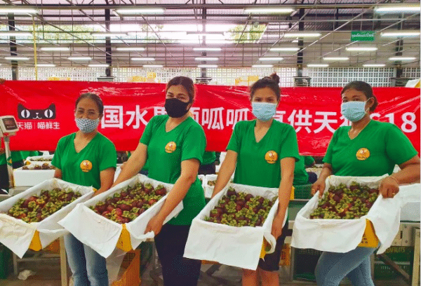 Thai government joins China's mid-year shopping festival with fruit supplies
