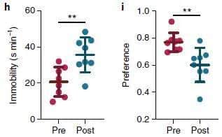 Playing with your phone before bed may make you more prone to depression
