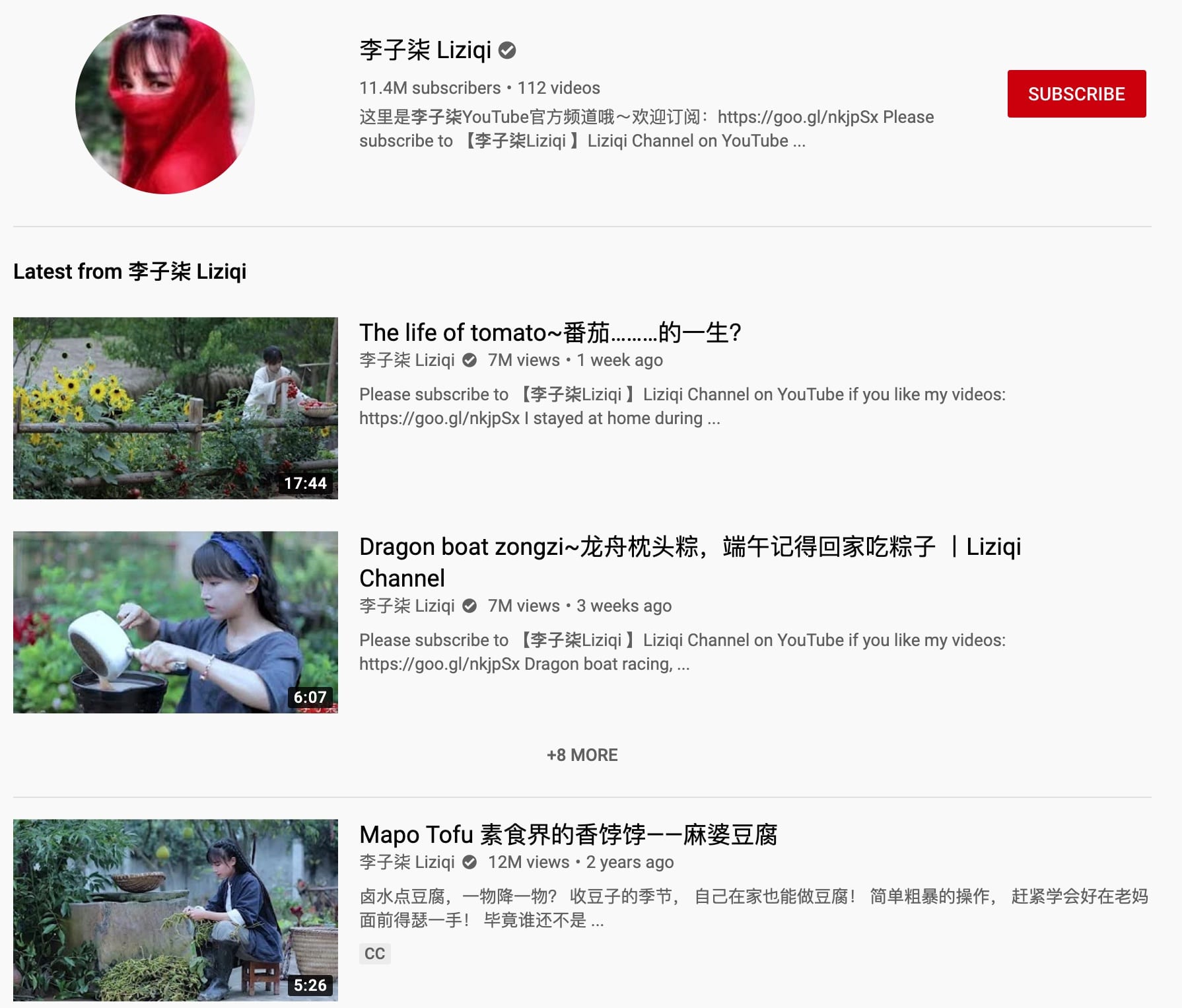More Chinese become YouTube celebrities