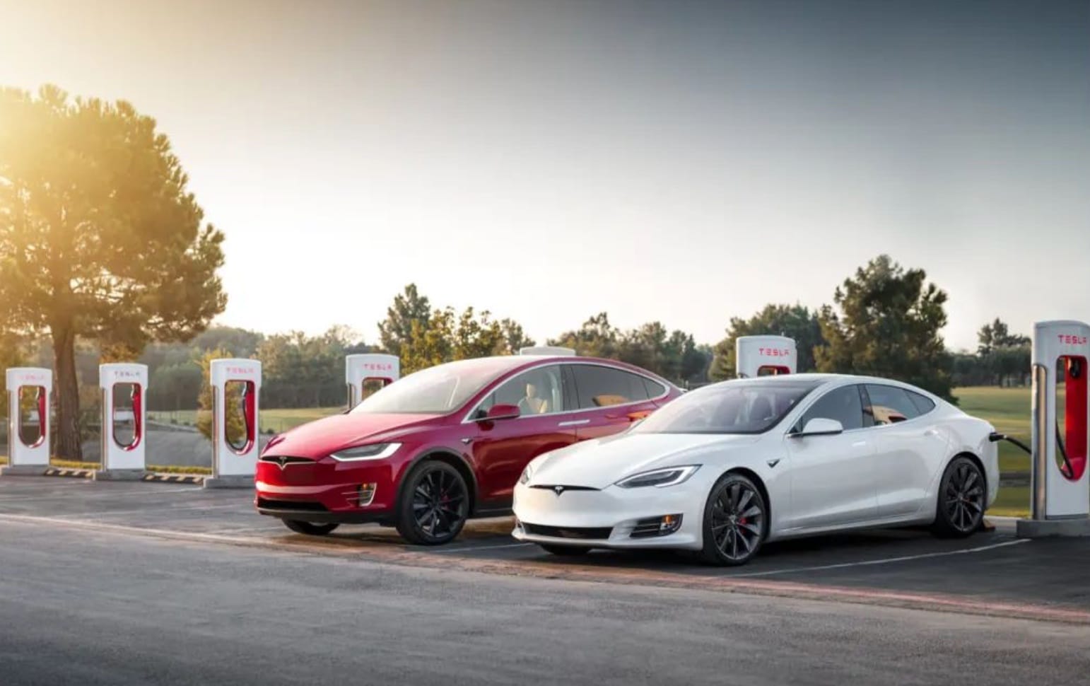 Tesla confirms entry-level China-made Model 3 uses lithium iron phosphate batteries