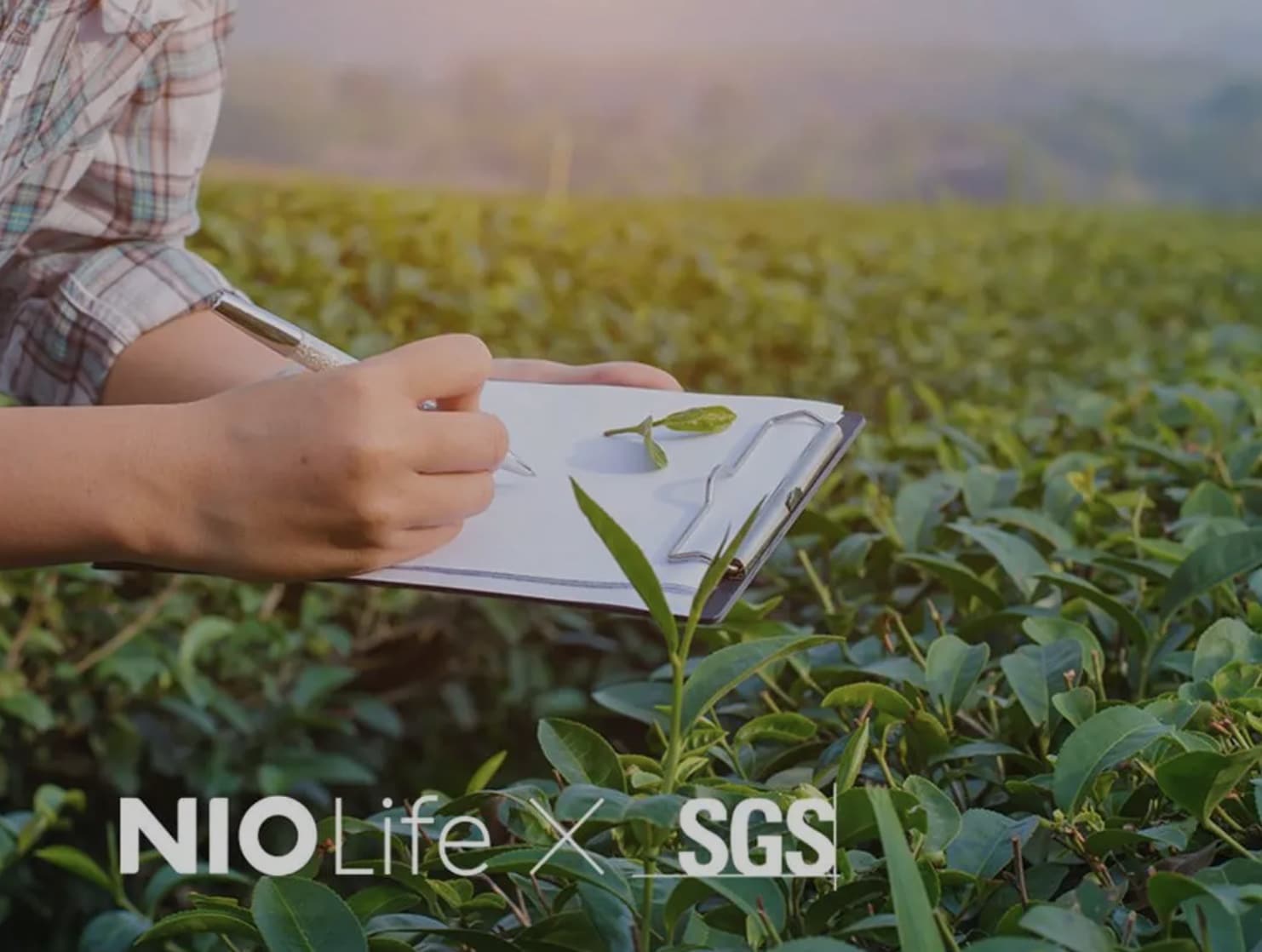 NIO Life establishes food research institute FoodLab