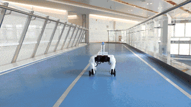 Tencent unveils Max, its first in-house developed quadruped robot