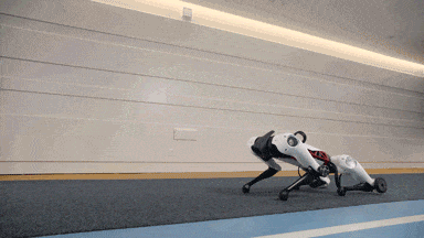 Tencent unveils Max, its first in-house developed quadruped robot