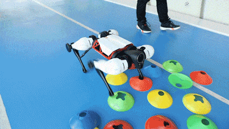 Tencent unveils Max, its first in-house developed quadruped robot